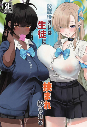 韩漫《女神降临》封面